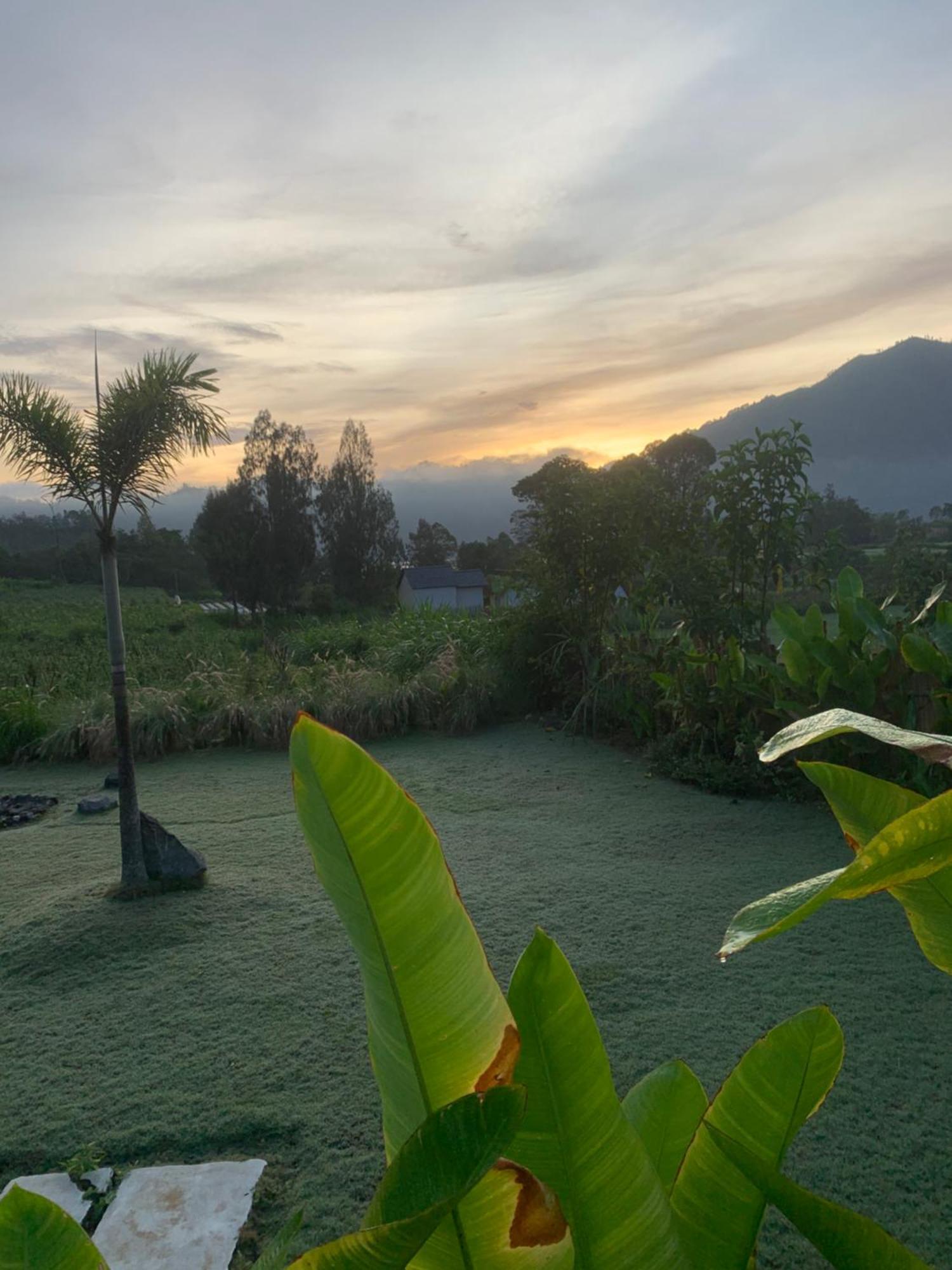 Bali Lesung Hotel Kintamani Kültér fotó